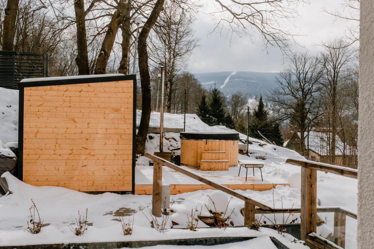 Apartamenty Larice - Podgrzewany Basen, Balia I Sauna Świeradów-Zdrój エクステリア 写真