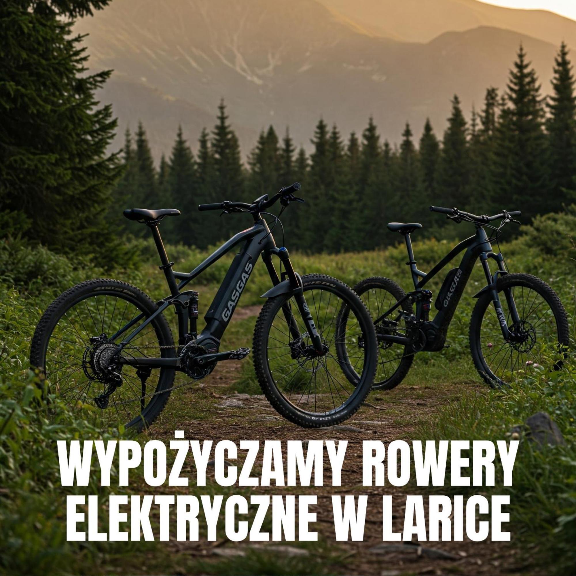 Apartamenty Larice - Podgrzewany Basen, Balia I Sauna Świeradów-Zdrój エクステリア 写真